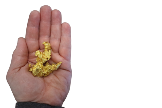 Large, naturally occurring, native, gold nugget held in open hand. Transparent background