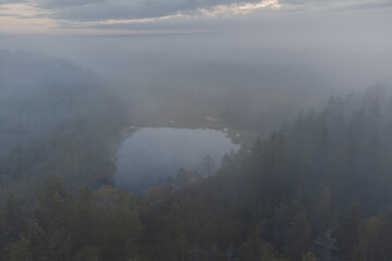 Aerial view of a pond in a foggy forest.