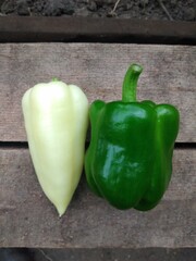 pepper, harvest, garden, vegetable garden, summer, autumn, vegetables