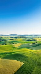 Obraz premium Aerial of rolling plains with patchwork fields of crops in varying shades of green and yellow, stretching out to the horizon under a clear blue sky