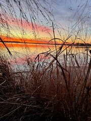 Hunting blind sunrise