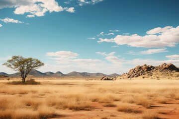 Fototapeta premium Namibia field landscape outdoors nature.