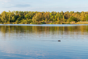 Landscape shot of the lake. Nature