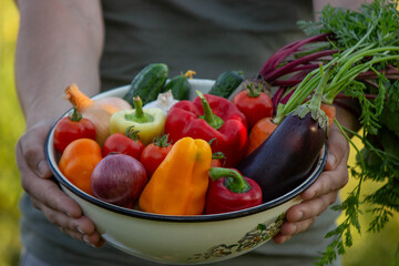 a man holds freshly picked vegetables in a bowl. Selective focus