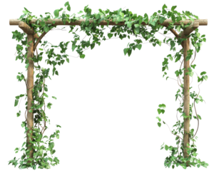 A wooden trellis with green vines growing out of it