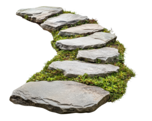A stone path with moss growing on it