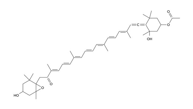 fucoxanthin molecule, structural chemical formula, ball-and-stick model, isolated image pigment