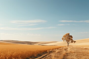 Fototapeta premium Minimal Countryside landscape outdoors horizon.