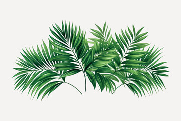 Tropical palm leaves illustration