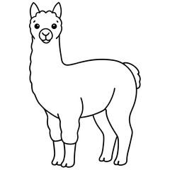 Alpaca line art vector illustration