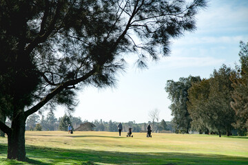 Women golfers on a green golf course on a sunny day.