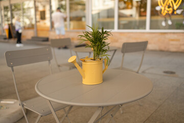 A small plant in a yellow pot on grey city cafe table outdoors. High quality photo