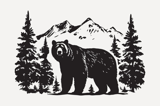 Bear mountain forest silhouette