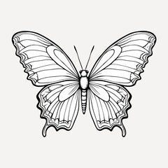 Intricate butterfly line art drawing