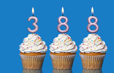 Birthday Cupcakes With Candles Lit Forming The Number 388