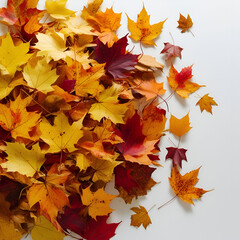 Pile of autumn colored leaves 