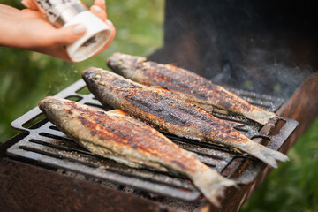 Well-grilled sea bass fish on the grill, peppered and salted