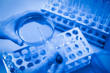 In the chemistry lab, scientists are doing chemical experiments with test tubes