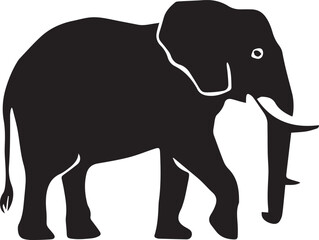 elephant isolated on white