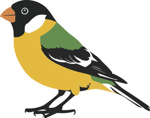 bird on a branch