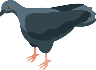 Isometric gray city pigeon standing on the ground