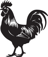 rooster isolated on white