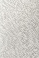 Obraz premium White textured leather