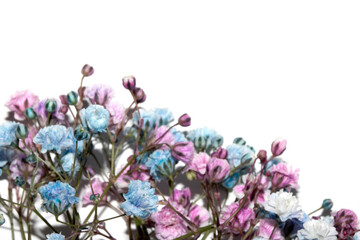 Pretty Floral Small Flowers Babies Breath On White Background for Weddings or Design