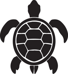 Obraz premium turtle