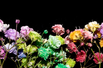 Pretty Floral Small Flowers Babies Breath On Black Background for Weddings or Design