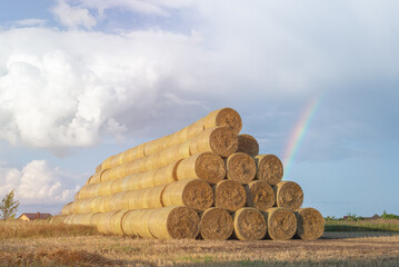 Round bales of hay stacked in a pile after harvesting in the field. Cloudy weather, sunset.