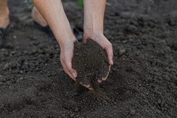 a man holds soil in his hands close-up. Selective focus