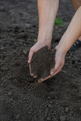 a man holds soil in his hands close-up. Selective focus