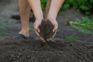 a man holds soil in his hands close-up. Selective focus