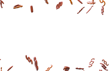 paragraph symbol article sign clause section