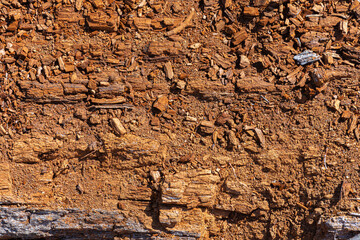 An abstract image of the texture of a rotting and decaying red wood tree. 