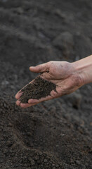 a man holds soil in his hands close-up. Selective focus