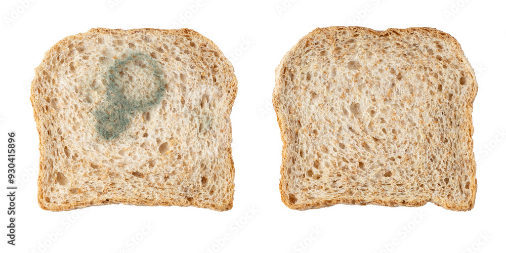 Wall mural whole grain bread slices fresh baked and with growing mold isolated on white background.