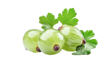 Fresh and vibrant green gooseberries with leaves, perfect for culinary and health-focused projects.