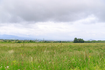 Fototapeta premium Expansive Green Meadow Under a Cloudy Sky