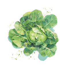 Obraz premium Beautiful clip art illustration with watercolor tasty cabbage vegetable isolated on white background. Healthy vegan food.