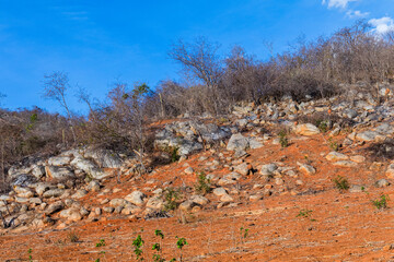 Late afternoon in the backlands, a region in northeastern Brazil known for long periods of drought, lots of light, rustic houses and very colorful landscapes.