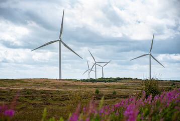 Landscape photography of wind turbine; windmill; wind power; power generation; electricity; industry; decarbonisation; innovation; green energy, Whitelee Windfarm, Scotland