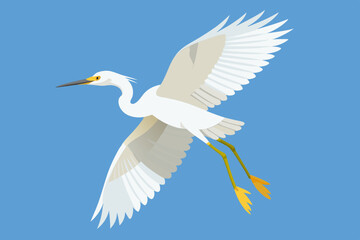 Fototapeta premium Heron vector art and illustration
