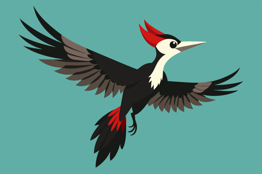 recommend clip art: woodpecker vector art and illustration