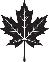 Maple leaf silhouettes vector illustration isolated on white background.