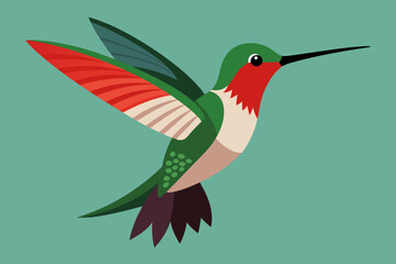 Humming bird vector art and illustration