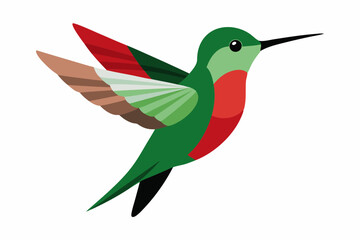 Humming bird vector art and illustration