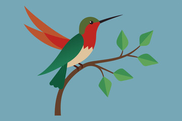 Humming bird vector art and illustration