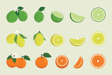 A set of citrus fruits, whole and sliced. Lime, lemon, orange. Vector design.
